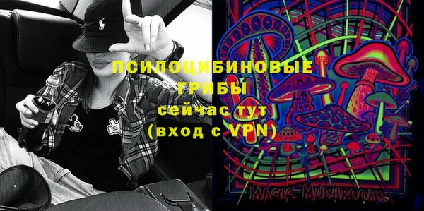 дурь Арсеньев